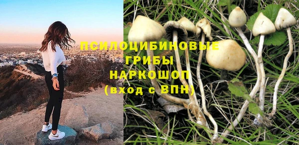 ешки Арсеньев