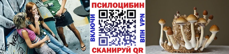 Галлюциногенные грибы Psilocybe  Руза 